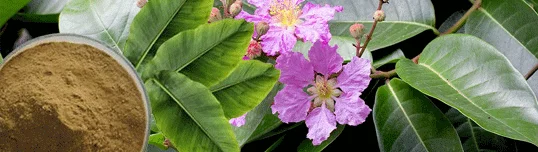 Banaba Balance