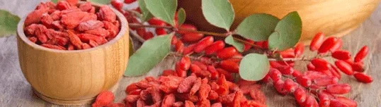 Alpha LP & Berberine Boost