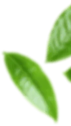 Plant Right