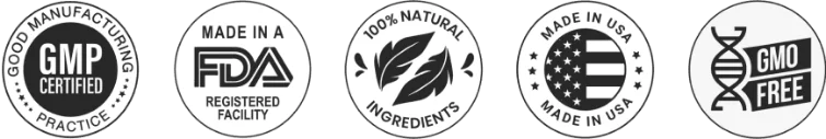 Seal 1